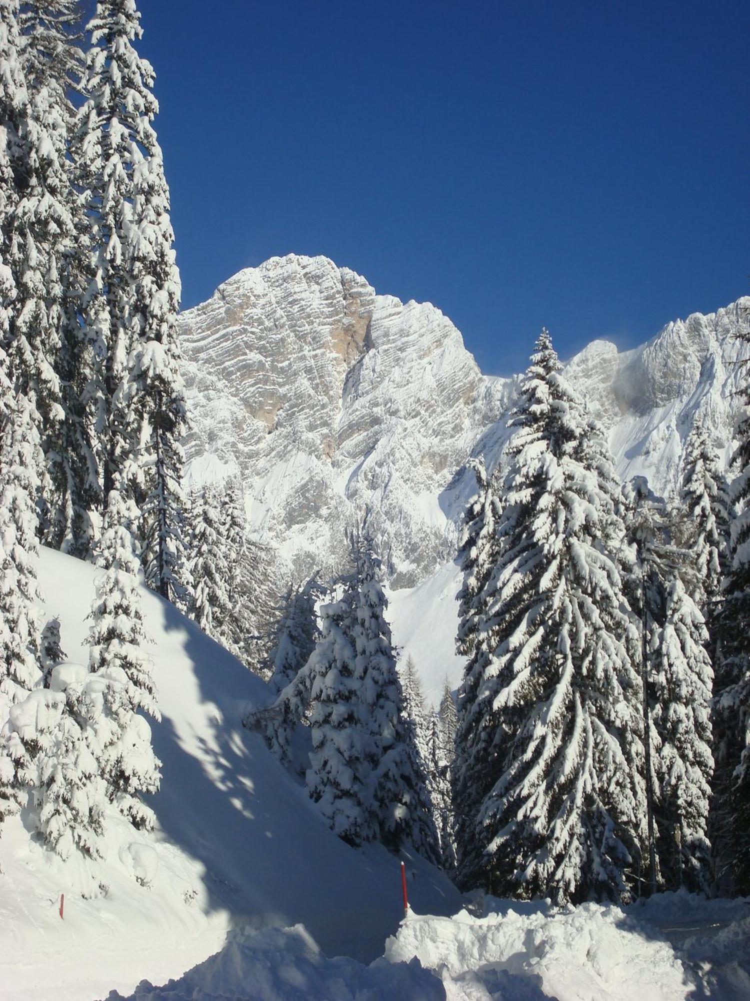 Bergerhof Hotel Ramsau am Dachstein Exterior foto