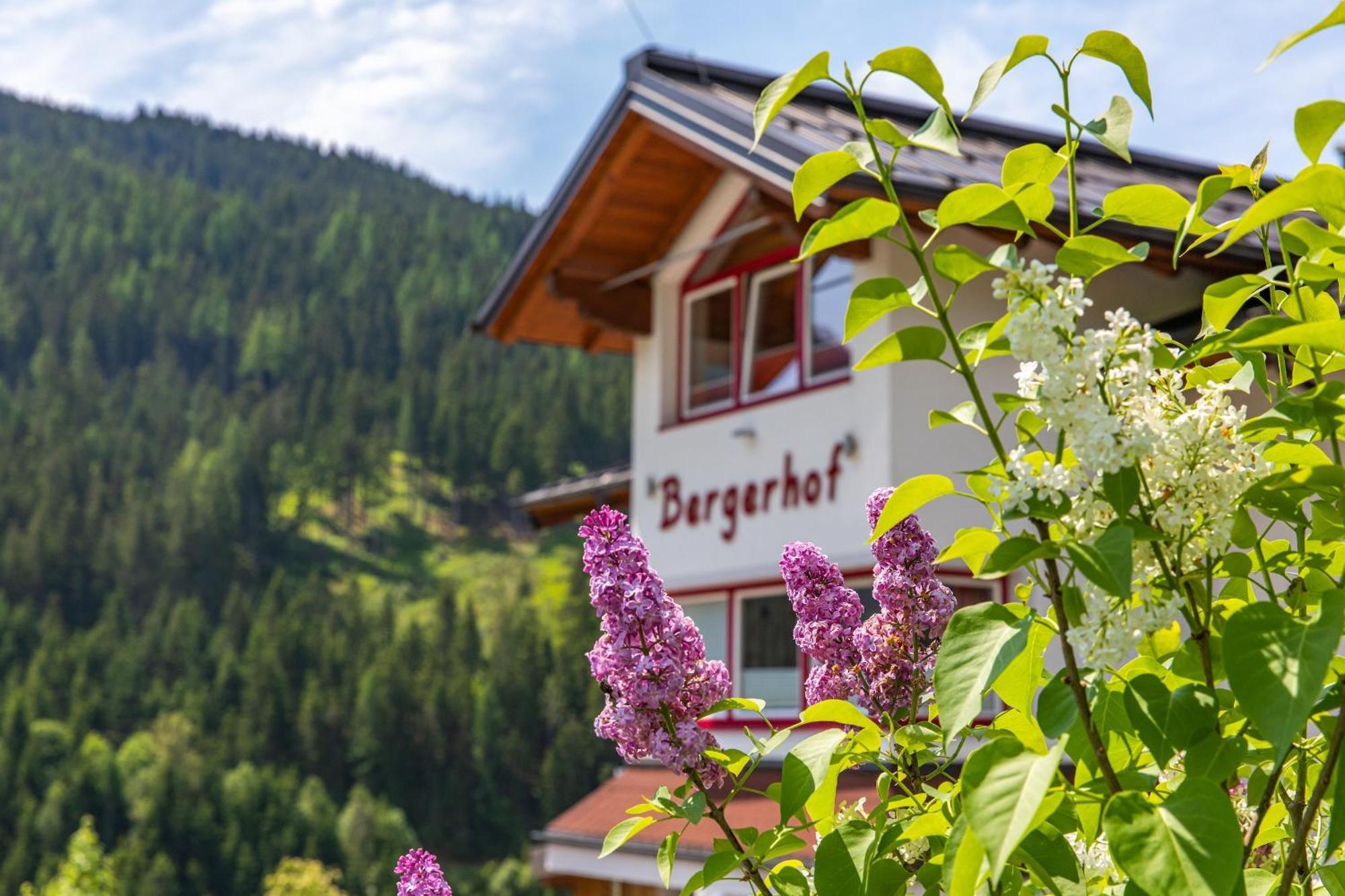 Bergerhof Hotel Ramsau am Dachstein Exterior foto